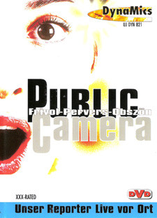 Public camera 1